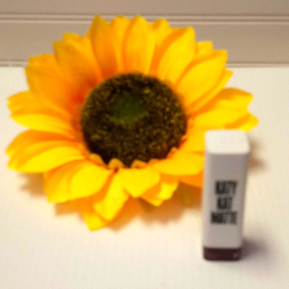 Katy Kat Matte Covergirl Lipstick 💄- Maroon Meow - Picture 8 of 8